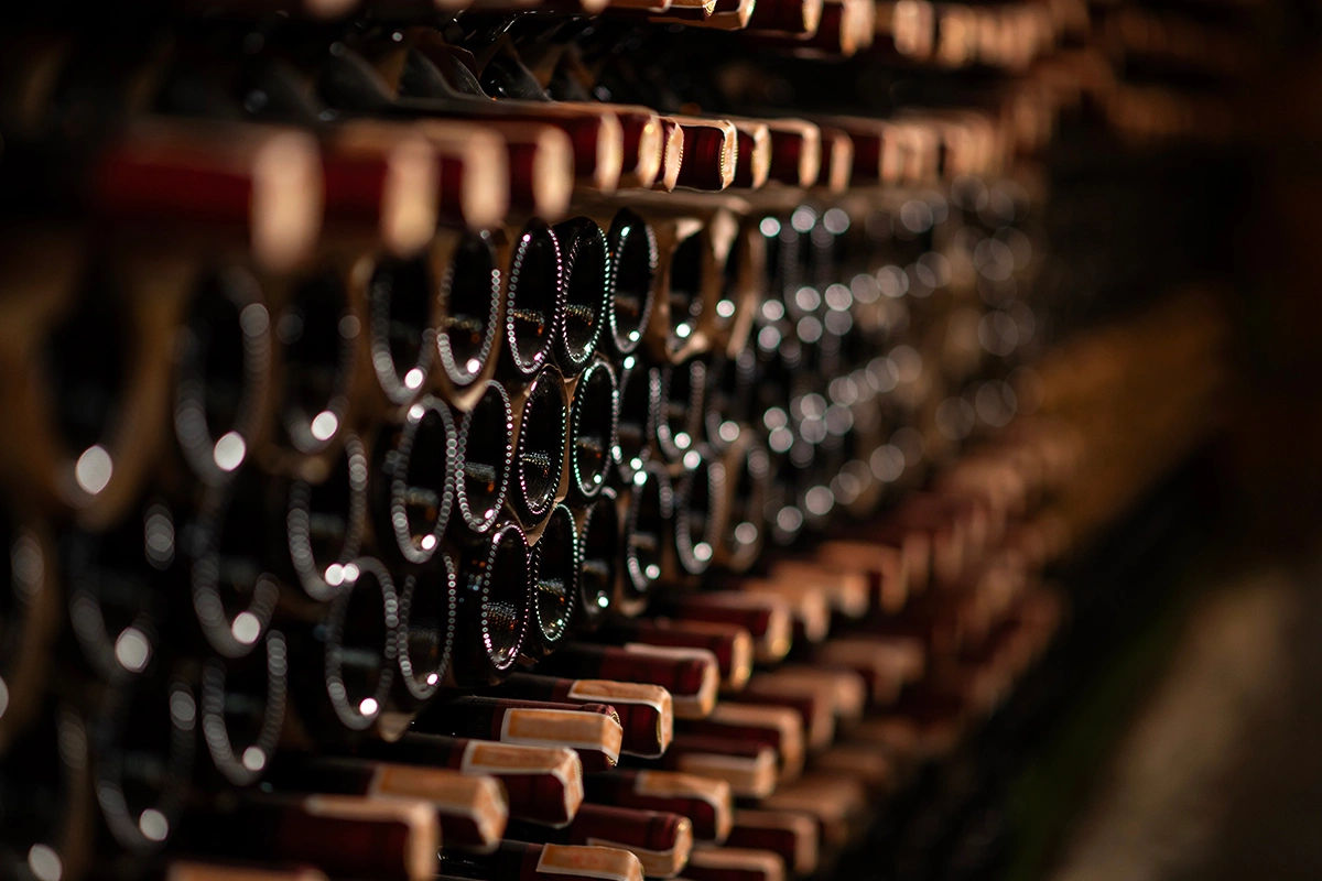 Wine bottles ageing in a cellar